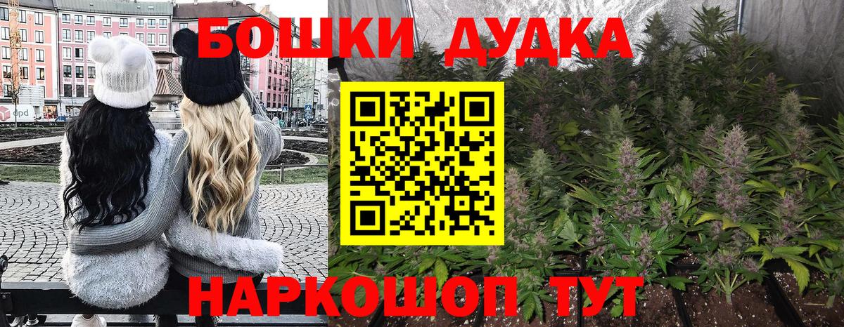 Канабис Bruce Banner  Бошки Шишки Ganja  Конопля ГИДРОПОН  Мирный  Вход с VPN 